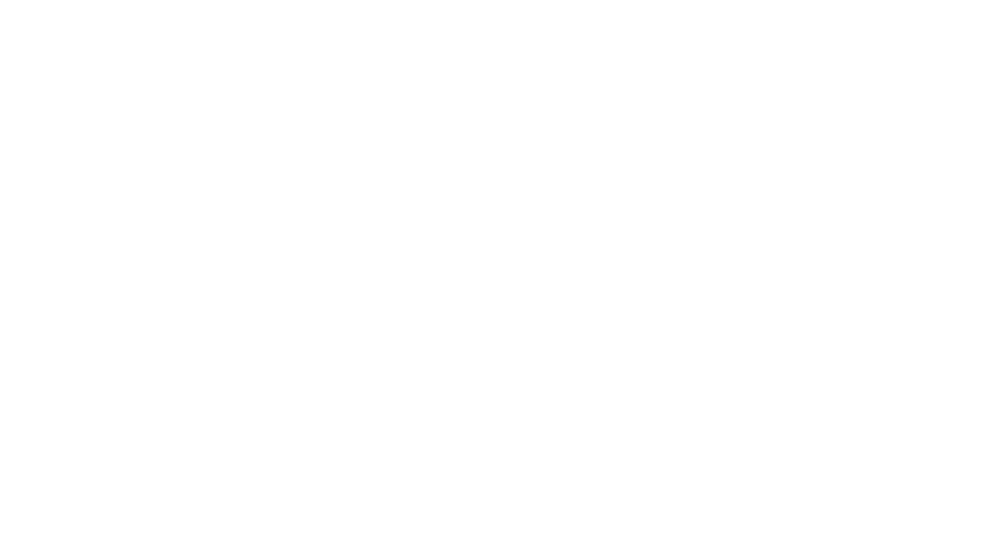 Paradiso Noir Logo